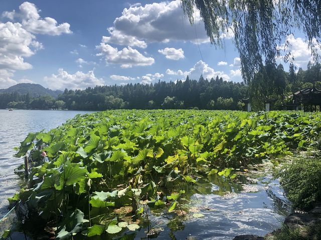 Hangzhou green city