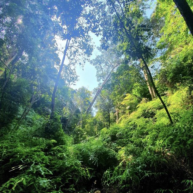 Penang National Park - Malaysia