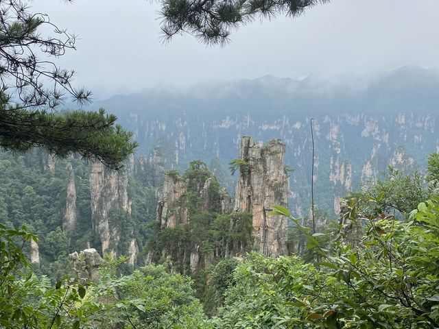 Avatar Mountains in Zhangjiajie, China🇨🇳🌎