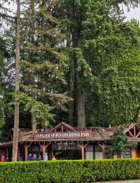 Capilano Suspension Bridge Park