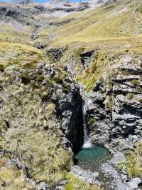 New Zealand hiking check-in point