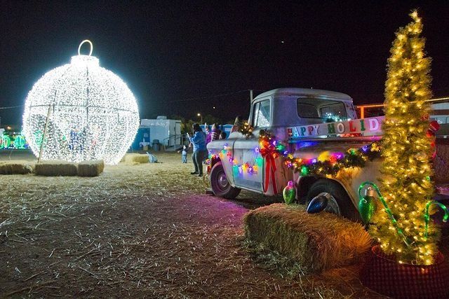 Lights at The Farm | Vertuccio Farms