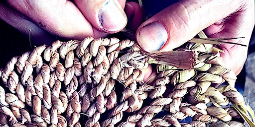 Weaving is Healing Two-day workshop Brisbane January 2024 | Mount Coot-tha Botanic Gardens