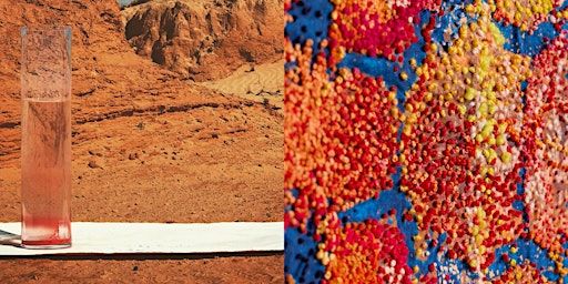 Conversations on Colour and Place | Woollahra Gallery at Redleaf