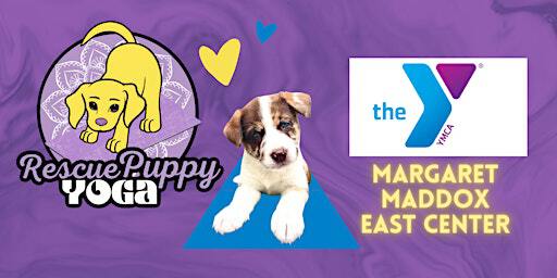 Rescue Puppy Yoga - Margaret Maddox family YMCA East center | Margaret Maddox Family YMCA
