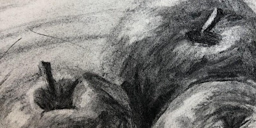 Introduction to Drawing - Short Course | Hereford College of Arts