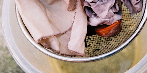 Introduction to Natural Dyes Workshop | Camden Art Centre