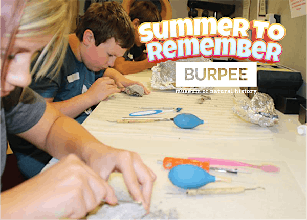 Dino Days - Day #2, Friday, July 18th, 1:00 pm-4:00 pm | Burpee Museum of Natural History