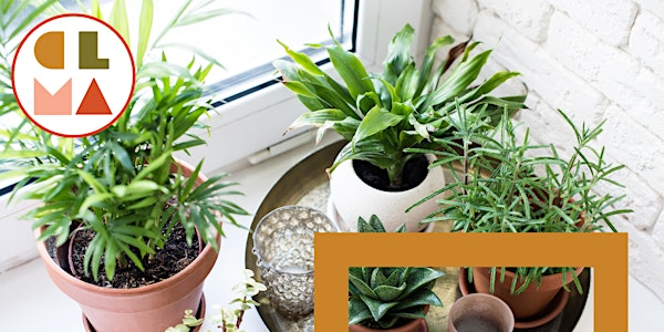 Indoor Gardening with Houseplants | Clarington Public Library, Newcastle Branch