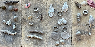 Sand Casting in Pewter with Anna Watson | Phoenix Art Space