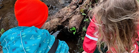 Eco Engineers: Homeschool Ages 10-14 | Mastuxet Brook Greenway South