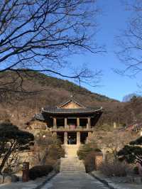 가끔은 전통적인 여행도 좋잖아? 🌅영주 부석사🌄