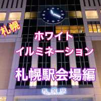 札幌　ホワイトイルミネーション[札幌駅南口会場]