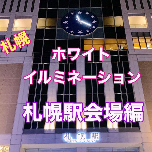 札幌　ホワイトイルミネーション[札幌駅南口会場]