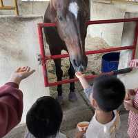 【 餵小動物的有機生態園 】