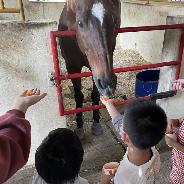 【 餵小動物的有機生態園 】