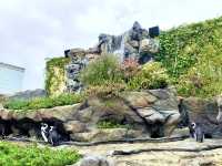 【東京】都心の屋上水族館！サンシャイン水族館