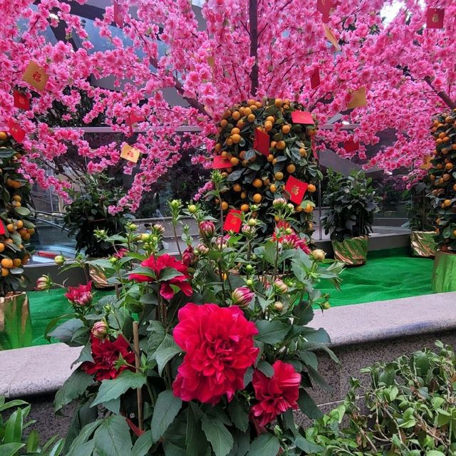 新年好去處 ～ 灣仔利東街 