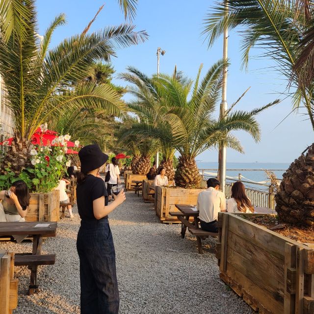 궁평항에 야자수 카페가 ?! 🌴