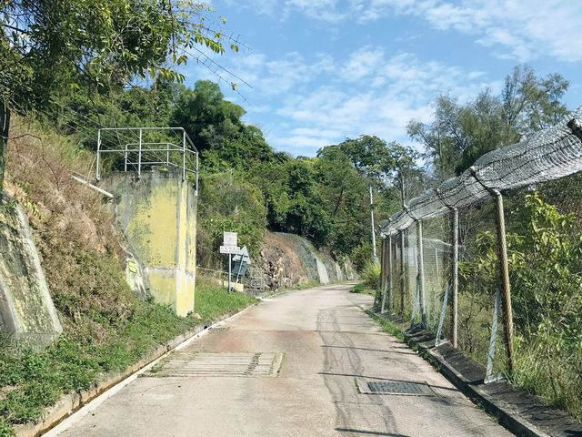 大欖郊野公園