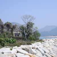 港版貓島之大澳