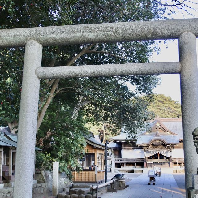 【茨城】酒列磯前神社