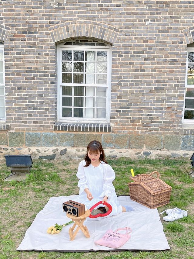 🤍 광주 유럽풍 피크닉 명소 🤍