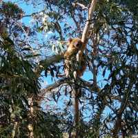 Morialta Falls Hike