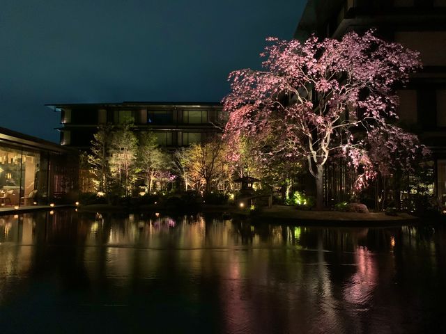京都　ラグジュアリーホテル　HOTEL THE MITSUI  KYOTOのライトアップが凄すぎた❗️