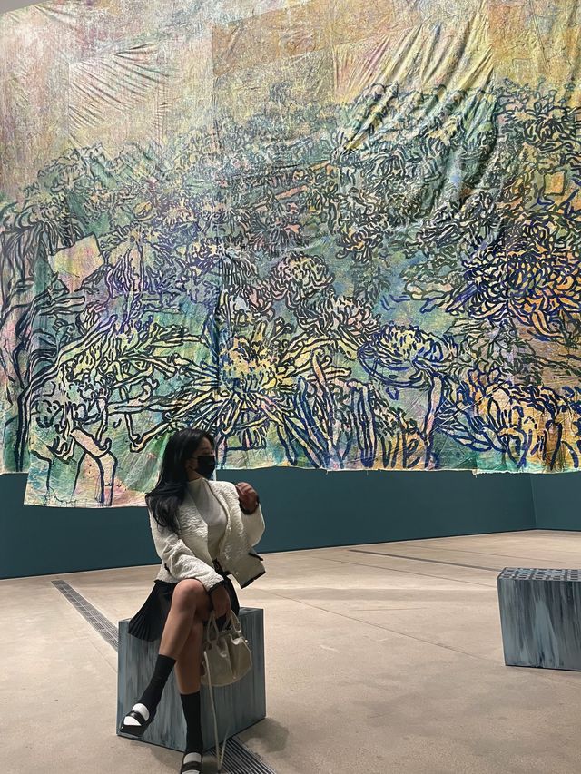 서울 사진찍기 좋은 전시회 🖼 24세이하 무료입장가능!