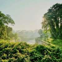 Nature In The Centre Of Singapore