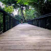 Ethnobotany Gardens Singapore 