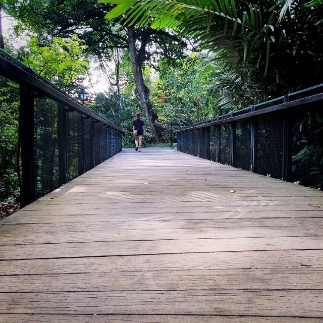 Ethnobotany Gardens Singapore 