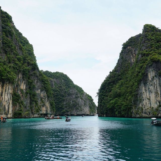 มรดกแห่งท้องทะเล ความงามของธรรมชาติ มรดกแห่งท้องทะเล ความงามของธรรมชาติ