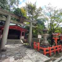 【京都 祇園】八坂神社さんの縁結び🌸⛩️