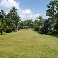 Free things to do in Singapore