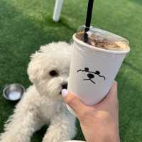 용인에서 가장 유명한 강아지동반카페🐶