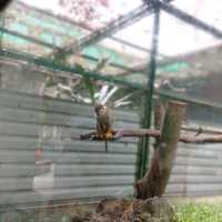 3Dじゃなく9D?!子供が喜ぶ動物の餌やり体験も!!