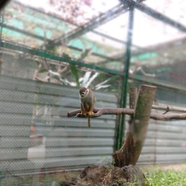 3Dじゃなく9D?!子供が喜ぶ動物の餌やり体験も!!