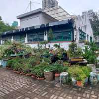 城市綠洲之充滿文化氣息既牛棚藝術村