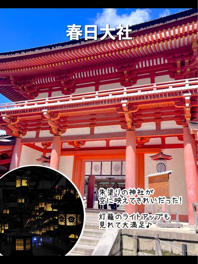 【奈良】行ってよかった奈良の観光スポット7選