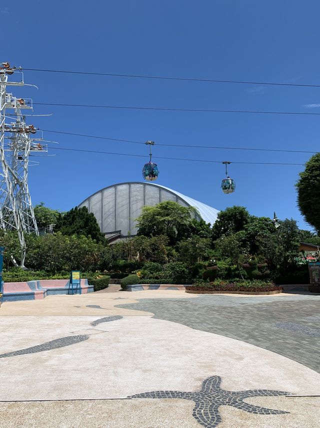 海洋公園夏日遊