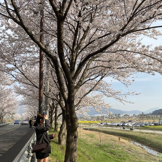 양산 ‘황산문화체육공원’