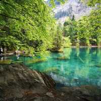 Blausee สะเลสาปสีฟ้า🇨🇭