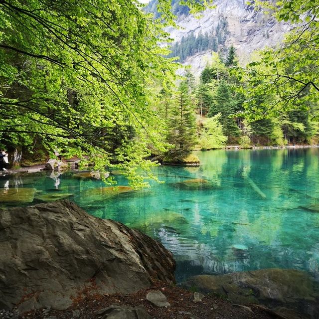 Blausee สะเลสาปสีฟ้า🇨🇭