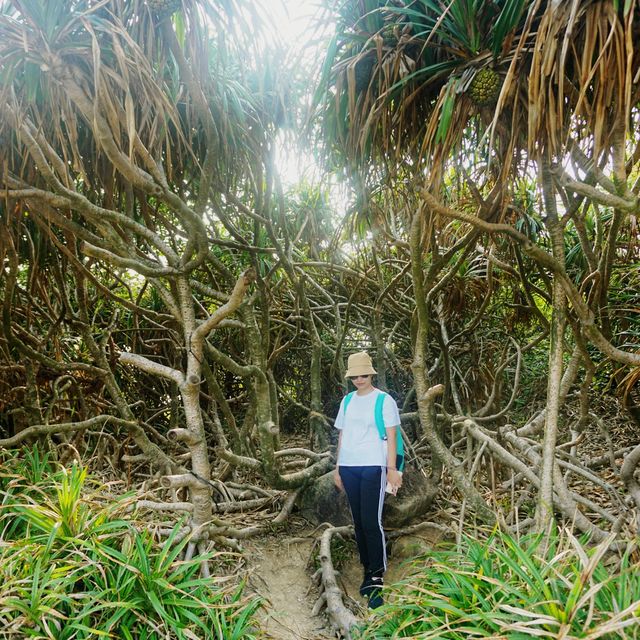 行山睇海露營. 塔門 Grass Island 