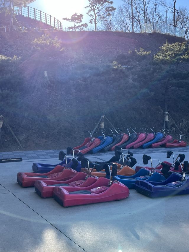 강화도 대표 액티비티 :: 강화씨사이드리조트 루지