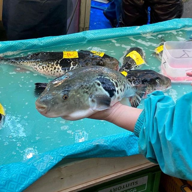 Street Food Experience in Kuromon Market