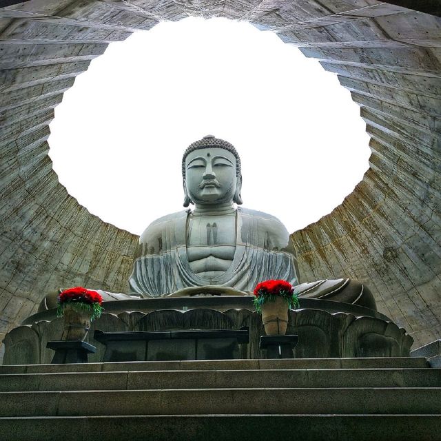 The Hill of the Buddha 頭大仏, 