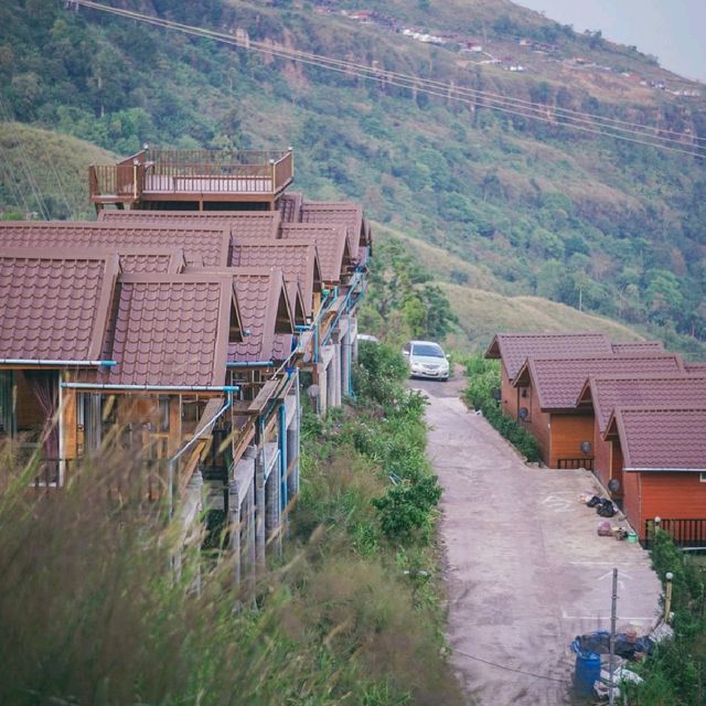 ไร่ทะเลหมอกภูทับเบิกที่พักเปิดใหม่